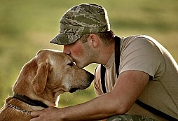 USA připravují legislativu pro asistenční psy veteránů s posttraumatickým syndromem
