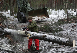 NATO radí, jak zastavit tankový útok vykácením lesa....