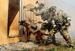 Speciální brýle pro vojenské psy umožní psovodovi vydávat pokyny na dálku