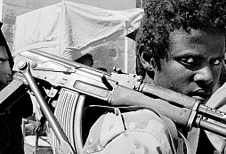 Eritrejská armáda a státní zřízení
