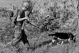Ve Vietnamu sloužilo 5000 amerických válečných psů. Zachránili tisíce životů, ale domů se nevrátili