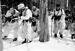 SS Ski-Jäger-Bataillon "Norwegen"/"Norge" 