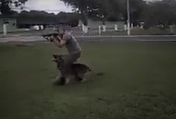 Výcvik psa - level 100