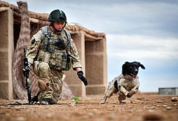 Vojákův pes zemřel žalem ten samý den, co mu zabili páníčka