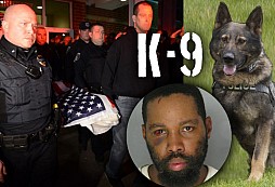 Služební policejní pes K-9 byl ubodán opilým mužem