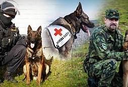Pocta všem služebním psům z ozbrojených, bezpečnostních a záchranných složek