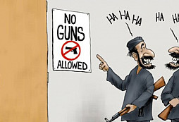 Jak zabránit násilí? Bezzbraňové zóny!