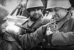 Jak stovky koček zocelených Sibiří pomáhaly porazit nacisty u Leningradu