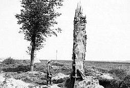 Vychytávky 1. světové války: Falešné stromy jako pozorovatelny