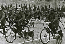 Stalinovi kamikaze - zoufalí Sověti cvičili pro boj s německými tanky psy. Němci se jim smáli