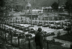 Beisfjordský masakr pod taktovkou SS