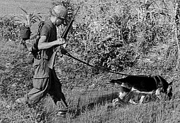 Ve Vietnamu sloužilo 5000 amerických válečných psů. Zachránili tisíce životů, ale domů se nevrátili