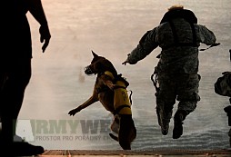 Seals K-9 - čtyřnohý parťák, na kterého se můžete spolehnout