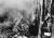 Hürtgenský les: Nejkrvavější bitva 2. světové války, kterou americká armáda za 2. světové války v Evropě vybojovala