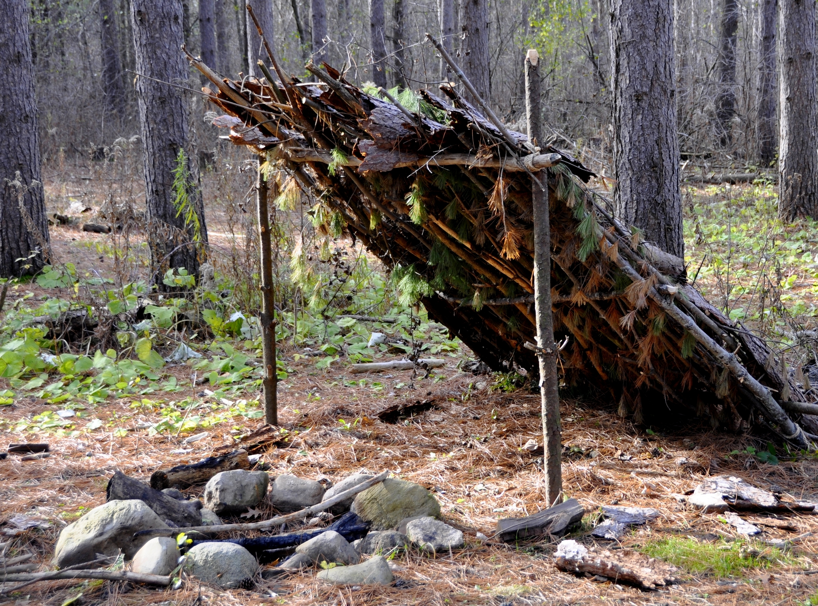 Естественных условиях живет. Бушкрафт Бивак. Bushcraft укрытие. Бушкрафт Дейв Кентербери. Бушкрафт навес в лесу.