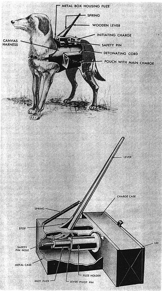 IMG:https://www.armyweb.cz/images/SVETOVEARMADY/RUSKO/TANKOVIPSI/anti-tank-dogs.jpg