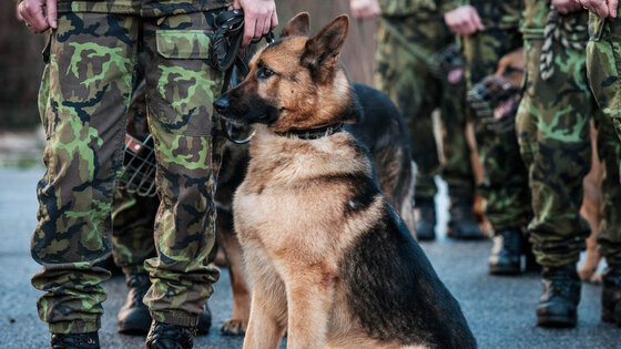 athos_02
