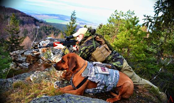 k9_02