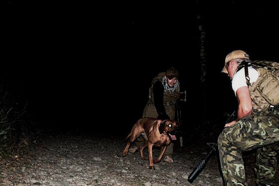 k9_04