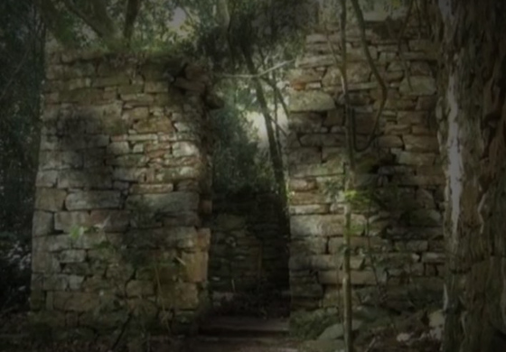 skrys_00