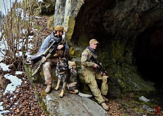 k9_00