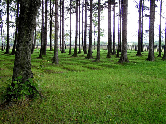 hrob_02