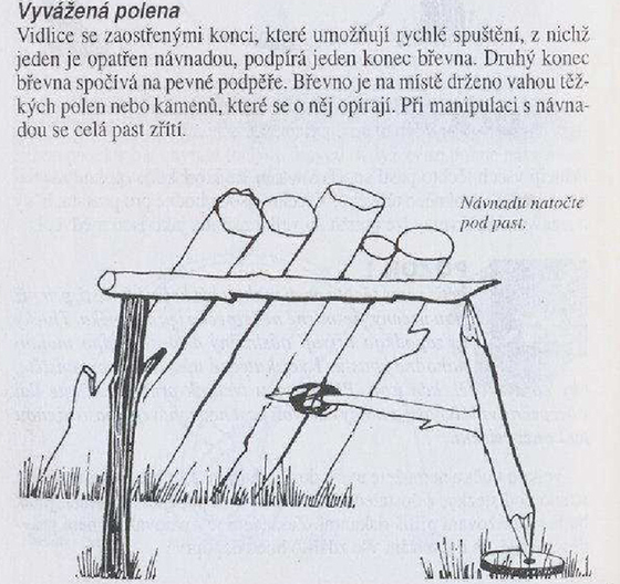 bear_pasti_01