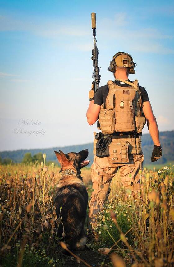 k9_03